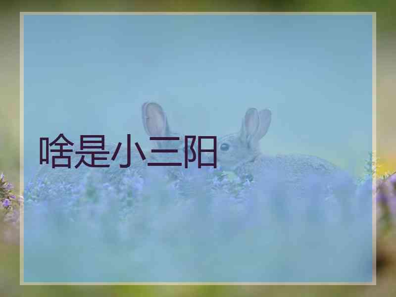 啥是小三阳