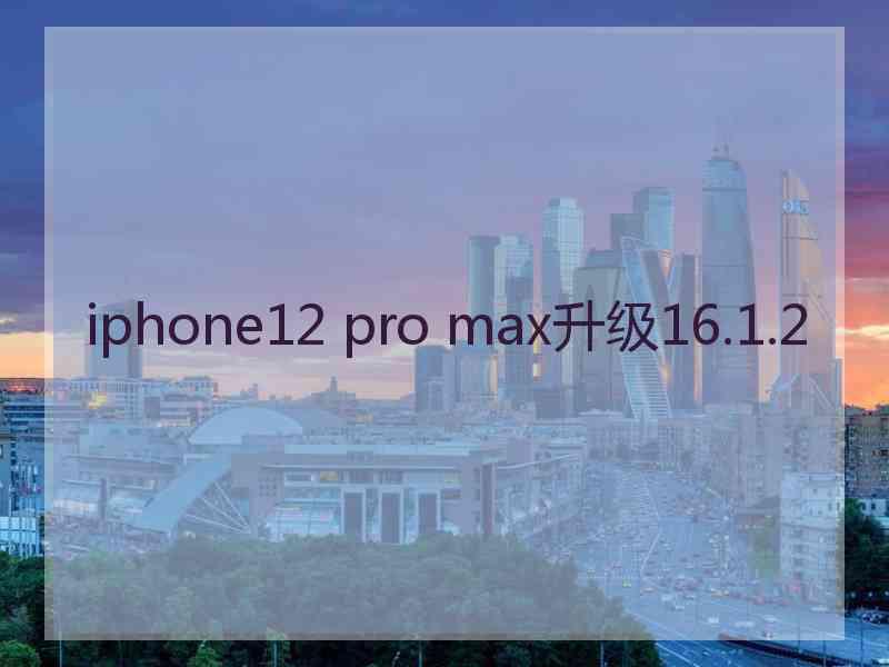 iphone12 pro max升级16.1.2