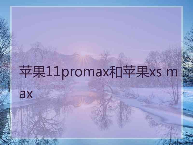 苹果11promax和苹果xs max