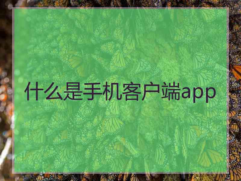 什么是手机客户端app