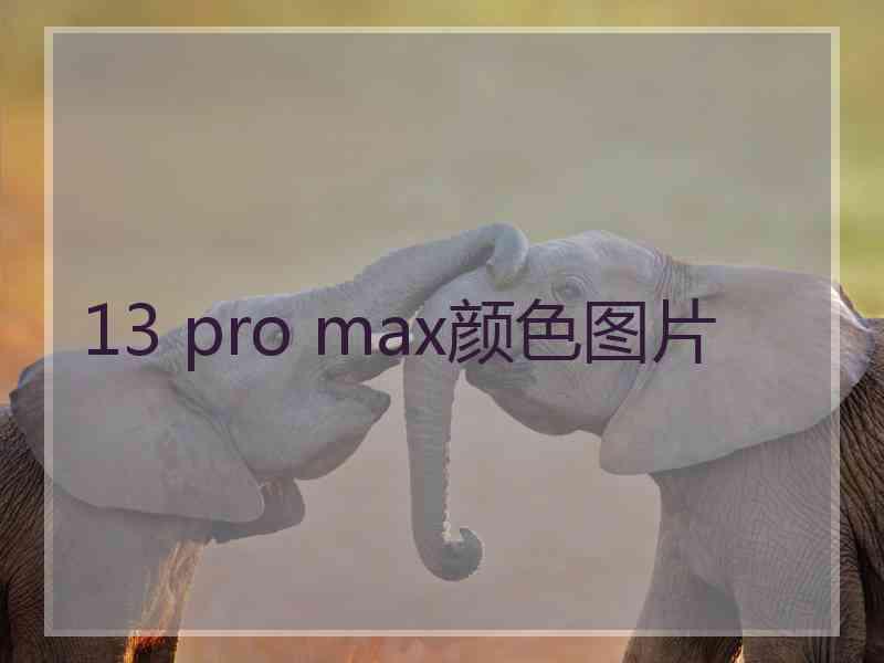 13 pro max颜色图片