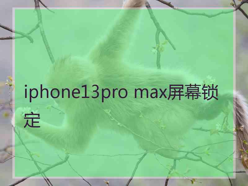 iphone13pro max屏幕锁定