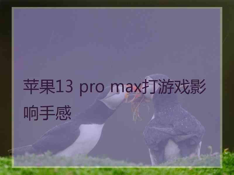 苹果13 pro max打游戏影响手感