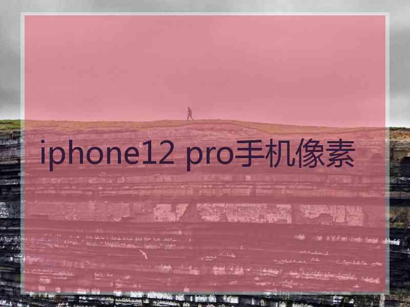 iphone12 pro手机像素