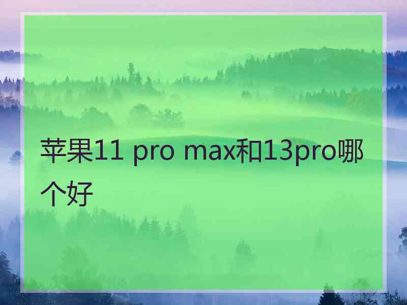 苹果11 pro max和13pro哪个好