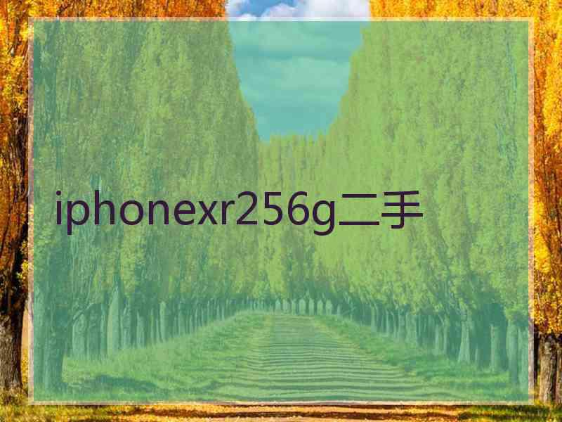 iphonexr256g二手