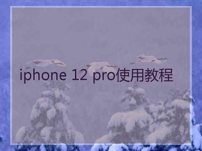 iphone 12 pro使用教程