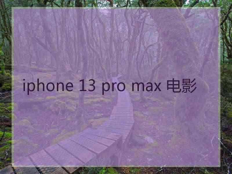 iphone 13 pro max 电影