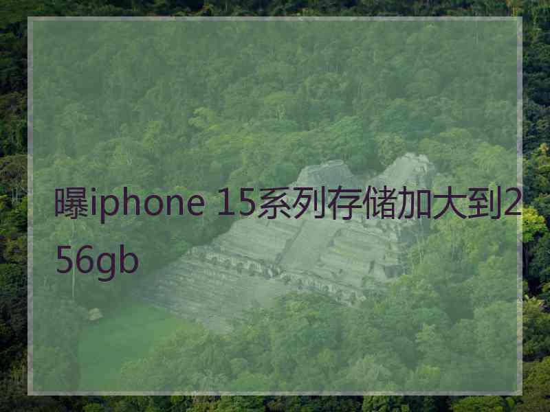 曝iphone 15系列存储加大到256gb