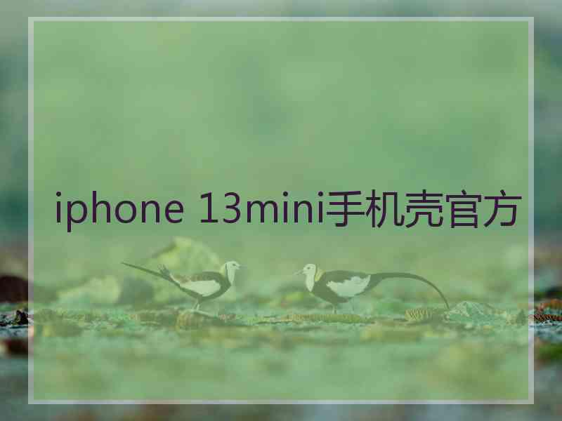 iphone 13mini手机壳官方