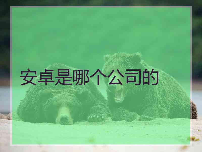 安卓是哪个公司的