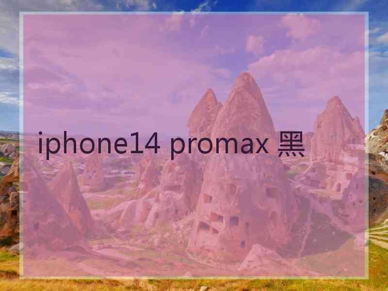 iphone14 promax 黑