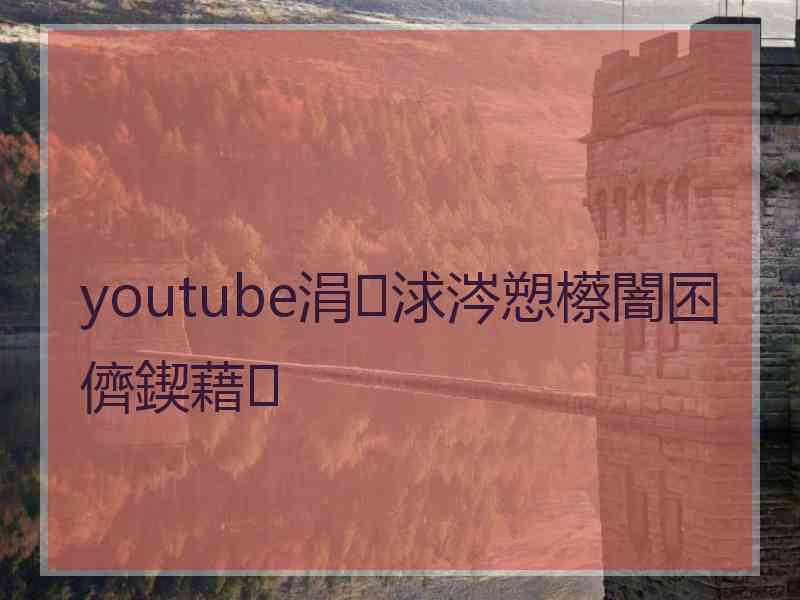 youtube涓浗涔愬櫒闇囨儕鍥藉