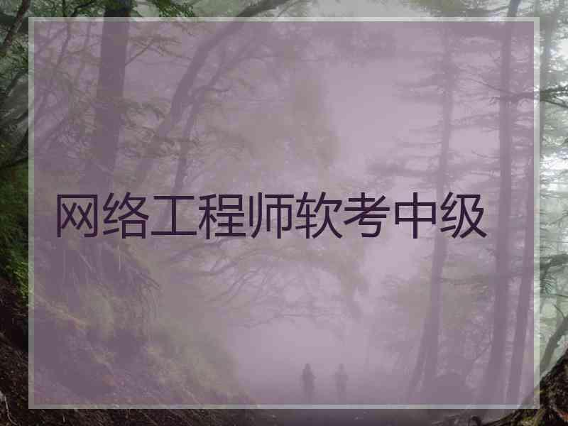 网络工程师软考中级