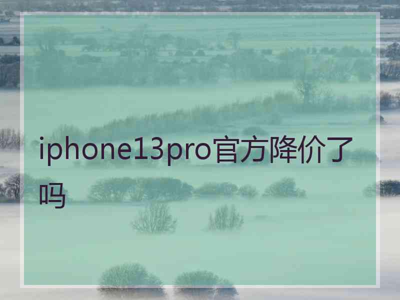 iphone13pro官方降价了吗