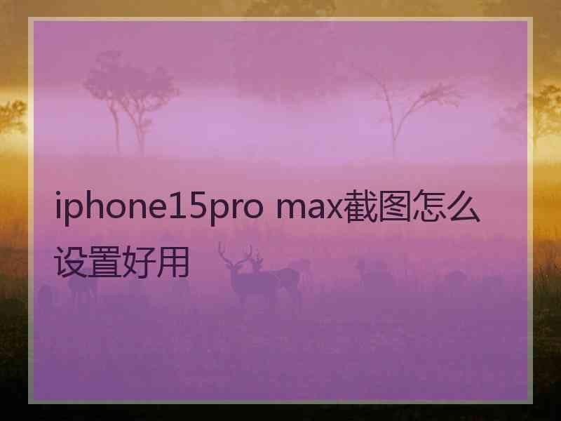 iphone15pro max截图怎么设置好用