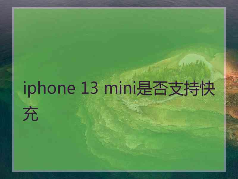 iphone 13 mini是否支持快充