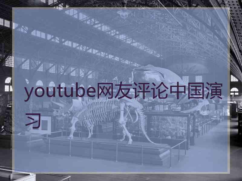 youtube网友评论中国演习