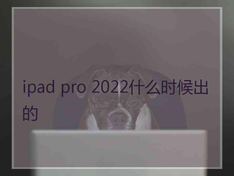 ipad pro 2022什么时候出的