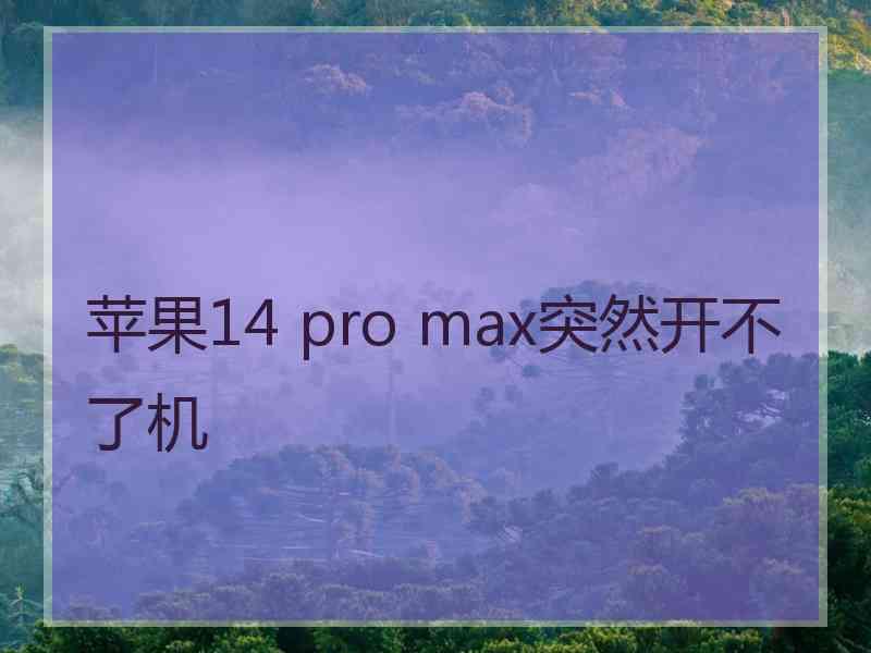 苹果14 pro max突然开不了机