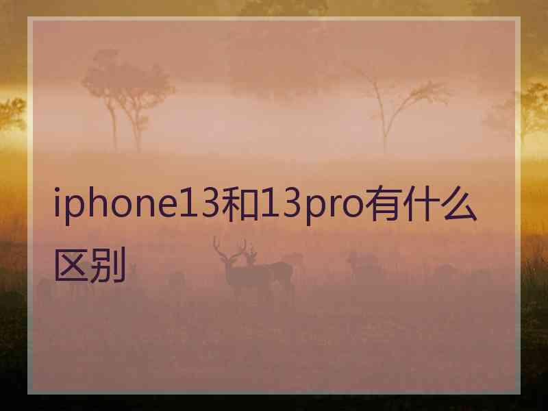 iphone13和13pro有什么区别