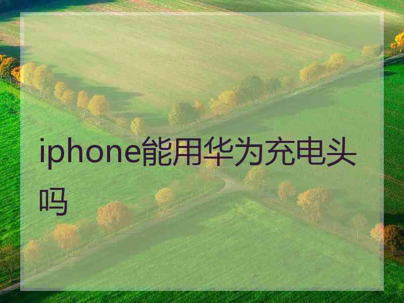 iphone能用华为充电头吗