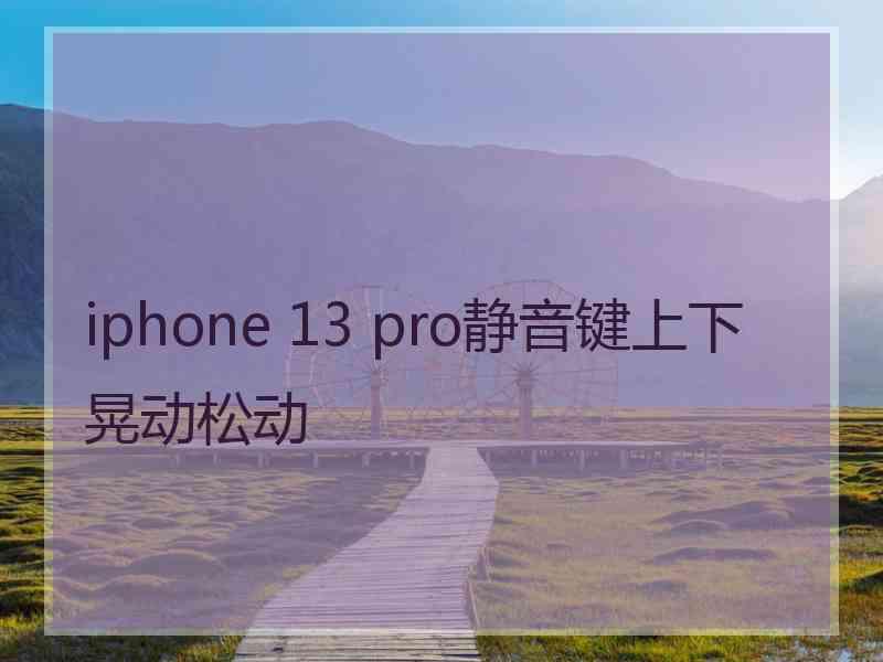 iphone 13 pro静音键上下晃动松动