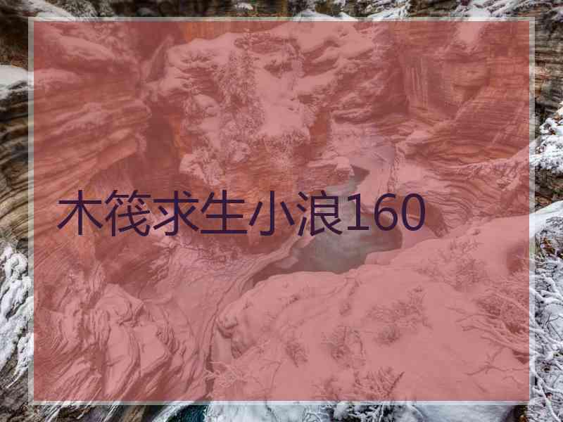 木筏求生小浪160