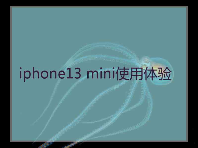 iphone13 mini使用体验