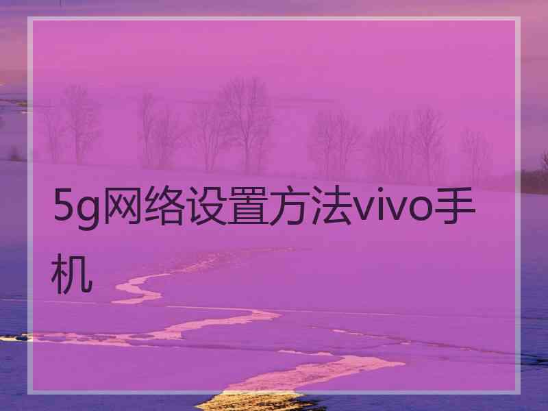 5g网络设置方法vivo手机