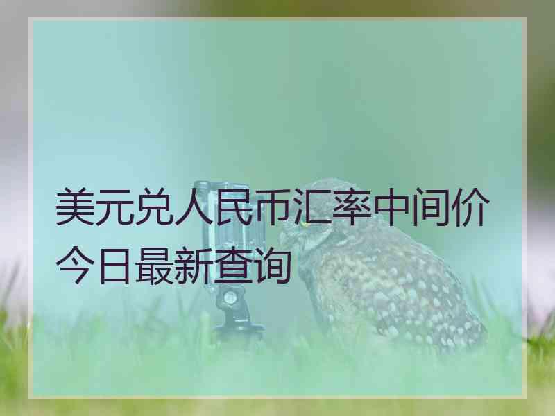 美元兑人民币汇率中间价今日最新查询