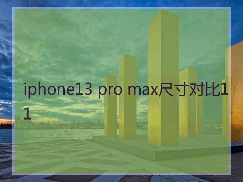 iphone13 pro max尺寸对比11