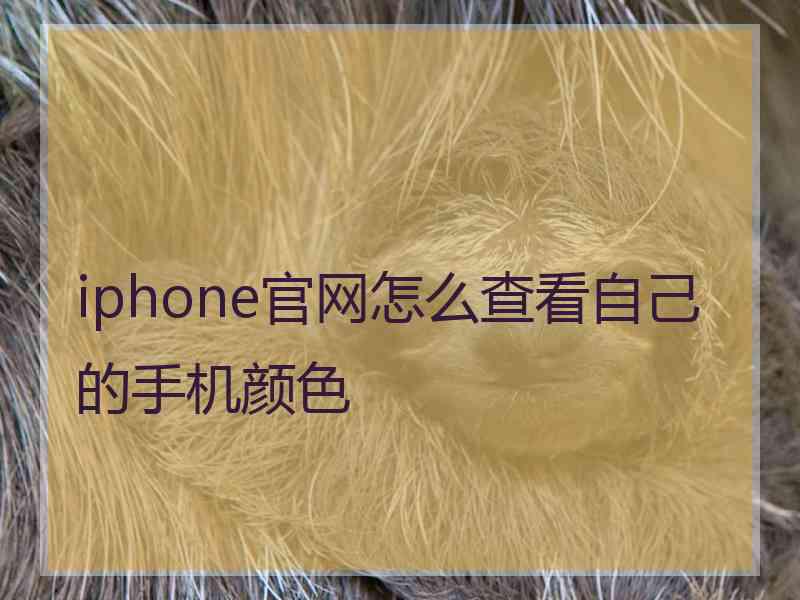 iphone官网怎么查看自己的手机颜色