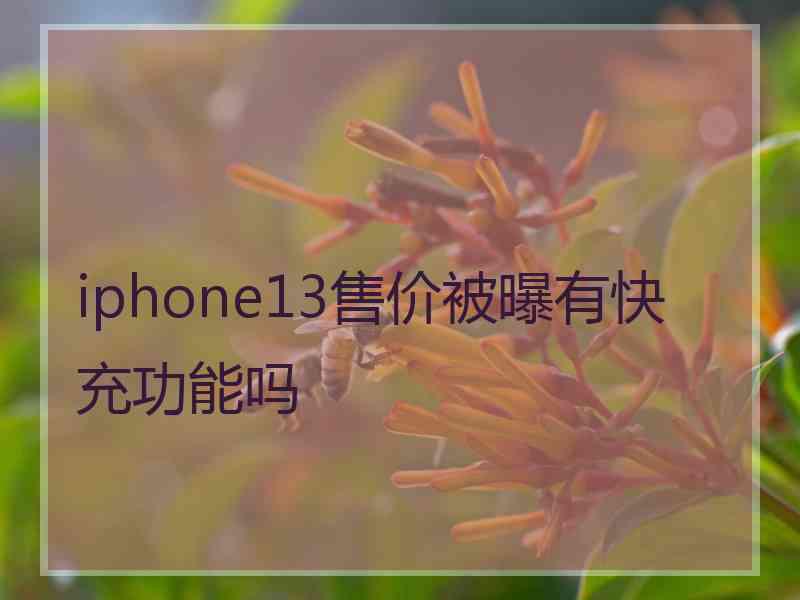 iphone13售价被曝有快充功能吗