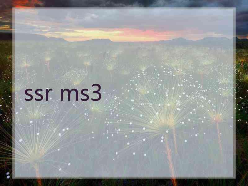 ssr ms3