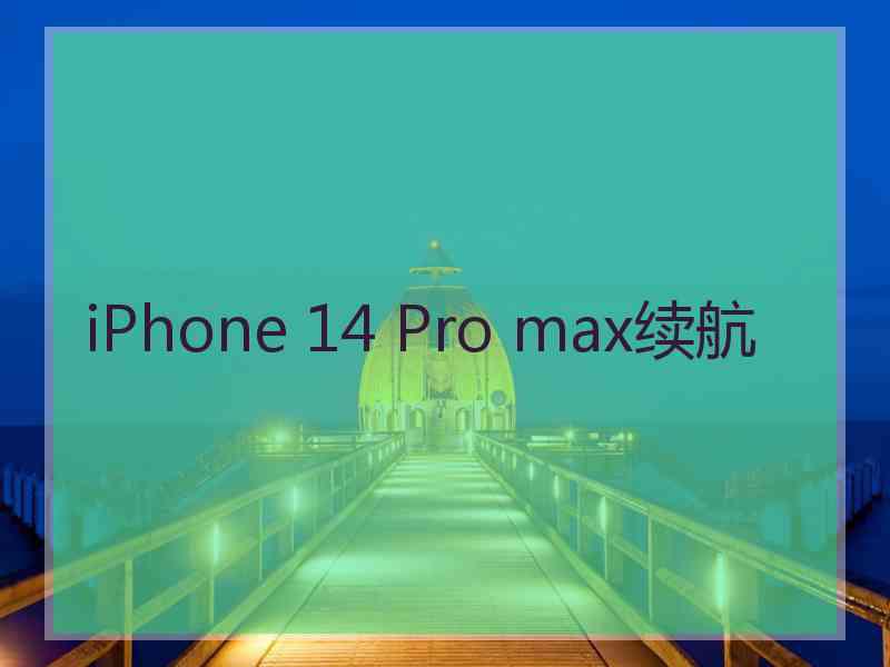 iPhone 14 Pro max续航