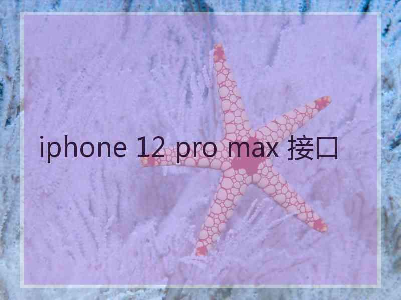 iphone 12 pro max 接口