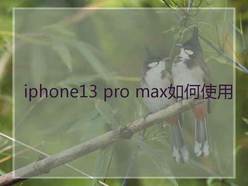 iphone13 pro max如何使用