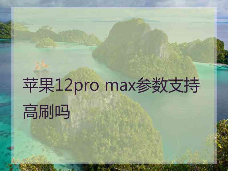 苹果12pro max参数支持高刷吗