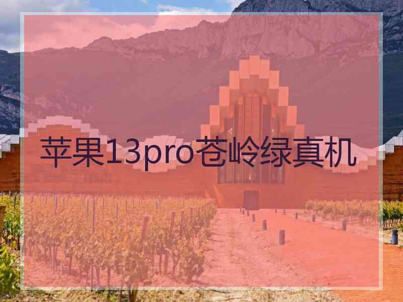 苹果13pro苍岭绿真机