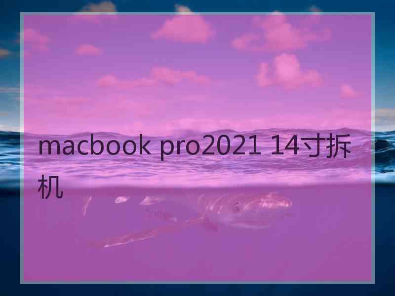 macbook pro2021 14寸拆机