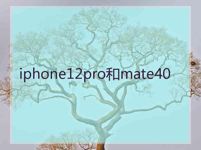 iphone12pro和mate40