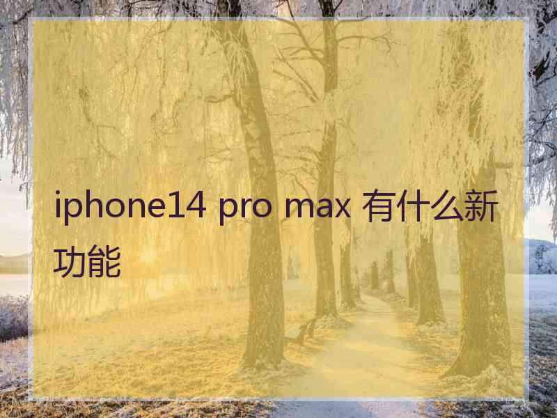 iphone14 pro max 有什么新功能