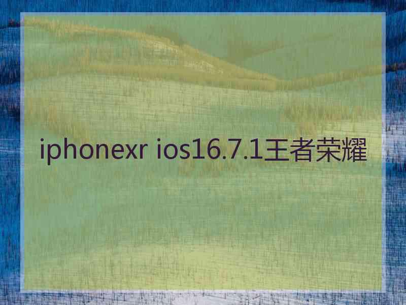 iphonexr ios16.7.1王者荣耀