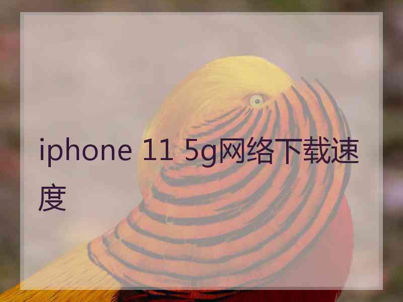 iphone 11 5g网络下载速度