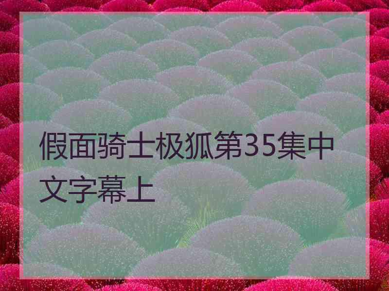 假面骑士极狐第35集中文字幕上