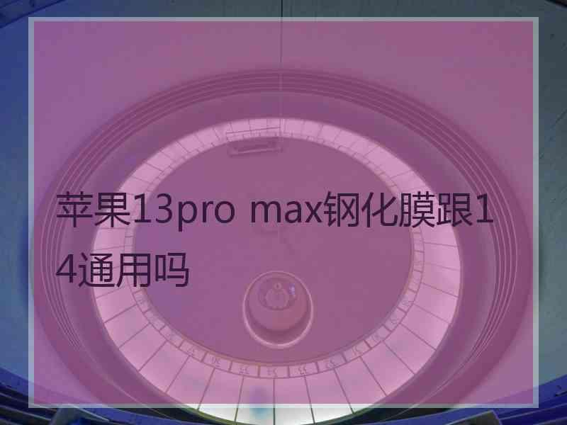 苹果13pro max钢化膜跟14通用吗