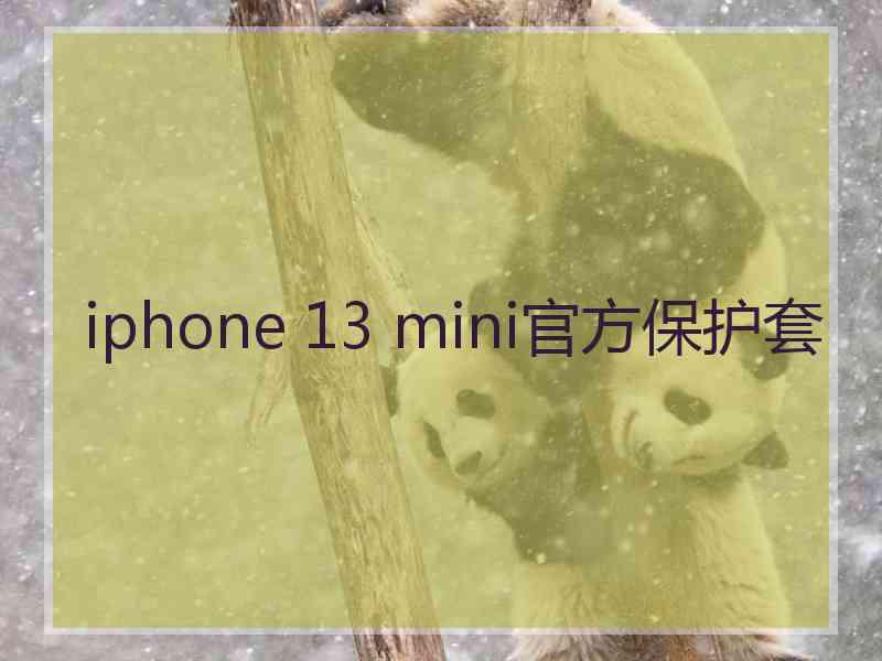 iphone 13 mini官方保护套