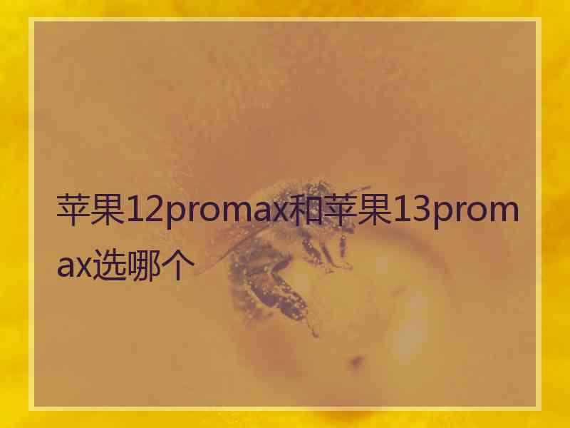 苹果12promax和苹果13promax选哪个