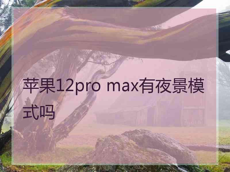 苹果12pro max有夜景模式吗